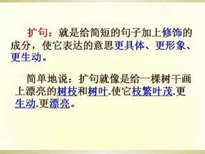 《哪只耳朵相似？》破解《这题太难了》第8关通关秘籍大揭秘