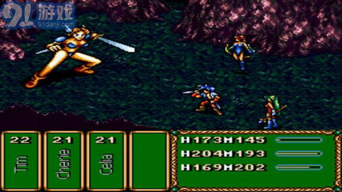 盘点热门2D平台游戏：揭秘十大必玩佳作，体验极致游戏乐趣