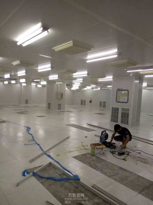 《女友是渣女》首关攻略揭秘：轻松通关技巧大公开