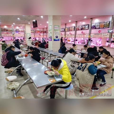 动物餐厅精灵帽获取攻略：解锁秘籍大揭秘！