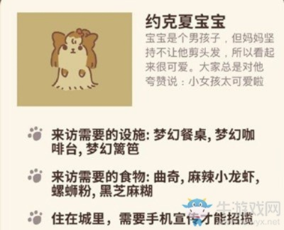解锁约克夏宝宝信件攻略：轻松获取动物餐厅神秘奖励