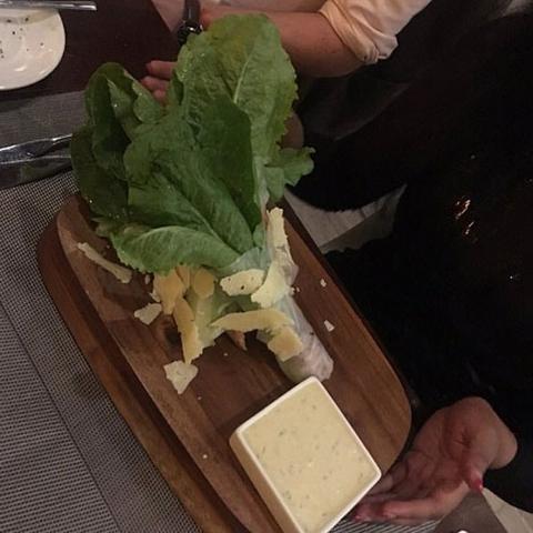 解锁动物餐厅狗粮技巧揭秘：宠物美食升级必备攻略