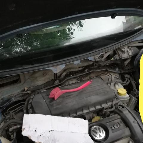 老婆去哪嗨第11关攻略揭秘：高效通关技巧大放送