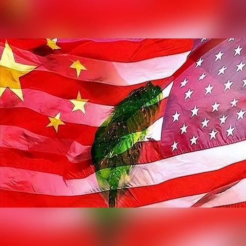 外交游戏下载必备！最新排行榜前十，揭秘热门策略新宠