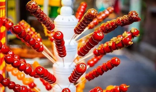 动物餐厅糖葫芦解锁技巧揭秘！实用攻略助你轻松升级