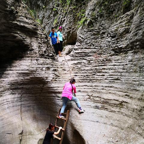 凤凰令礼包码获取攻略：一网打尽兑换秘籍与领取地址