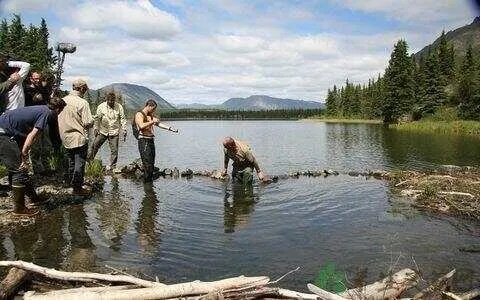 荒野求生必备！沼泽丛林补水食物，教你轻松获取水源