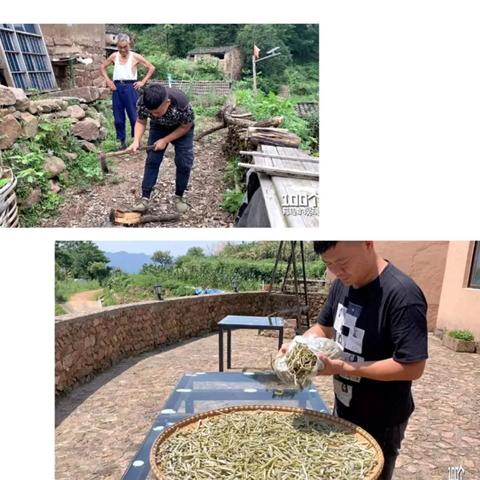 必胜攻略！完售物语最强阵容深度解析，独家搭配技巧揭秘