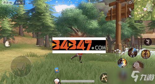 风云岛行动龙音子连招技巧揭秘：高效技能释放顺序攻略必看