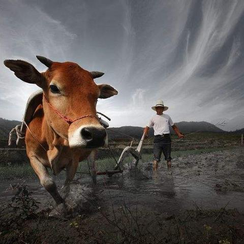 儿童游戏推荐：盘点十大热门必玩孩童游戏，解锁快乐时光