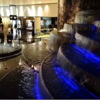 动物餐厅皇冠解锁攻略：揭秘高效获得技巧