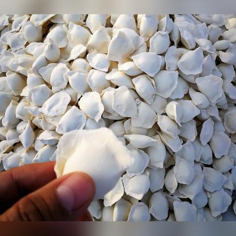 解锁动物餐厅元宝饺子攻略：轻松掌握必得技巧，轻松升级！