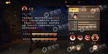 风云岛行动装备盘点：全面解析属性与技能，装备攻略必备