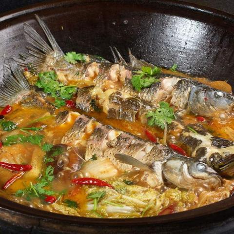 动物餐厅大升级！自助新菜品盘点，解锁美食新境界