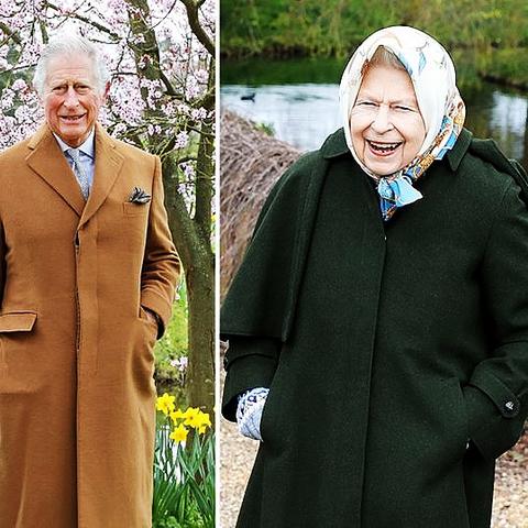 摩尔庄园樱花作物攻略：解锁神秘樱花用途！