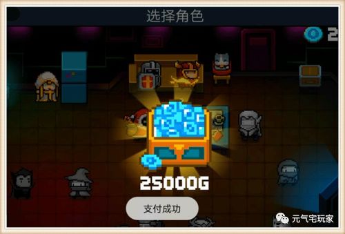 《全氪金攻略》揭秘：元气骑士新版本皮肤必看秘籍