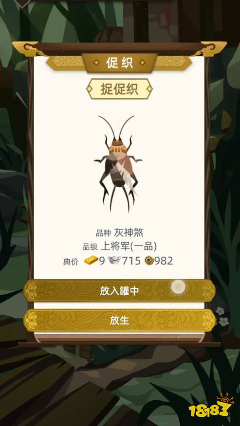 《促织捕捉秘籍》古人生独家技巧，轻松掌握捕虫高招