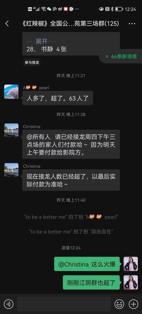 《有钱没钱回家过年》第五关通关秘籍：轻松解锁攻略技巧大揭秘