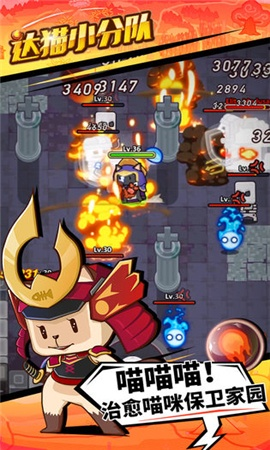 达猫小分队装备攻略：揭秘各部位最强装备与独特优势