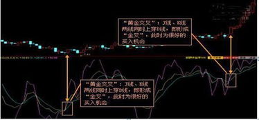 数独入门必看！掌握这些技巧，轻松成为数独达人