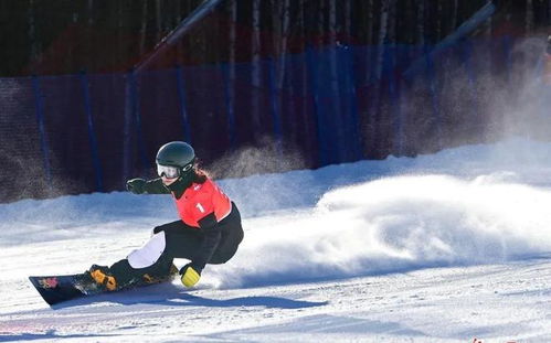 2024年度单板滑雪游戏盘点：揭秘热门新游，体验极致滑雪快感