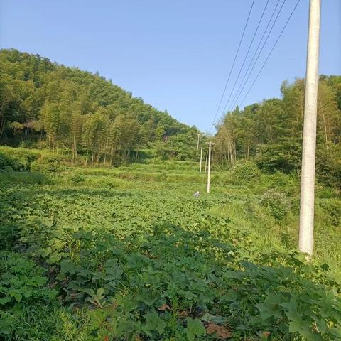 《漂流少女》开荒必备！独家攻略助你轻松闯关，告别新手困境