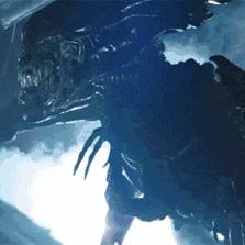 燃烧筒武器属性解析：异化之地簒夺者必备强效输出秘籍