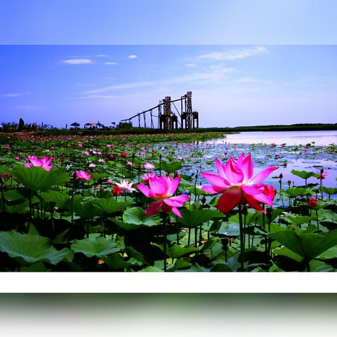 邂逅迷宫最强阵容搭配技巧揭秘：打造无敌战队攻略全解析