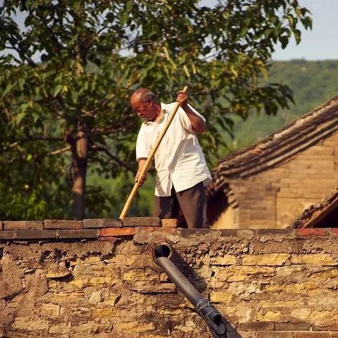 破解攻略！喵与筑卡关卡难题，轻松通关秘籍大公开