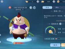 笑傲江湖手游宠物快速传功技巧，高效提升实力攻略揭秘