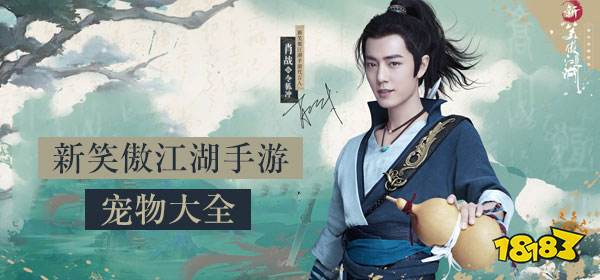 橘小渔宠物技能解析：新笑傲江湖手游必备攻略揭秘