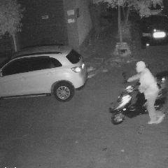 功夫特牛追踪炸弹获取攻略：秘籍组合技巧揭秘