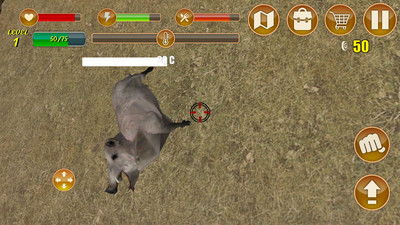 生存游戏盘点：热门排行揭秘，探索最佳生存体验！