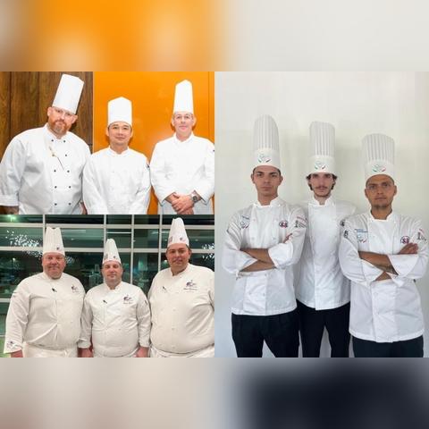 2024年度必玩！烹饪游戏盘点：精选美食盛宴推荐