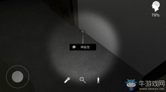 孙美琪疑案手游揭秘：信件线索全解析，解锁游戏新篇章