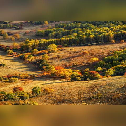 雪山宝箱藏匿指南：烟雨江湖寻宝攻略详解