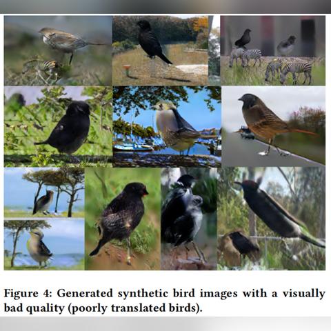 《造物法则2》活动裂缝高效通关秘籍，轻松解锁隐藏宝藏攻略分享
