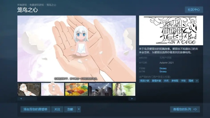 2024年度视觉小说巅峰之作：盘点热门精选不容错过