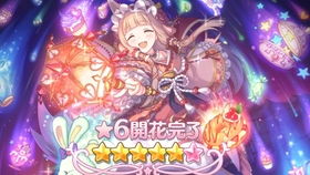 公主连结美咲玉泉属性解析，深度技能攻略揭秘