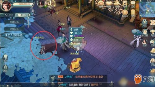 花与剑奇遇攻略：解锁爱之殇奇遇必备条件揭秘