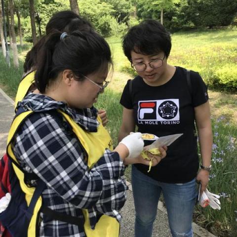 热门寻宝游戏盘点：揭秘最佳寻宝体验，解锁宝藏之旅新篇章