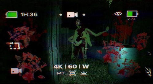 盘点十大经典Roguelike游戏：揭秘不可错过的沉浸式冒险之旅