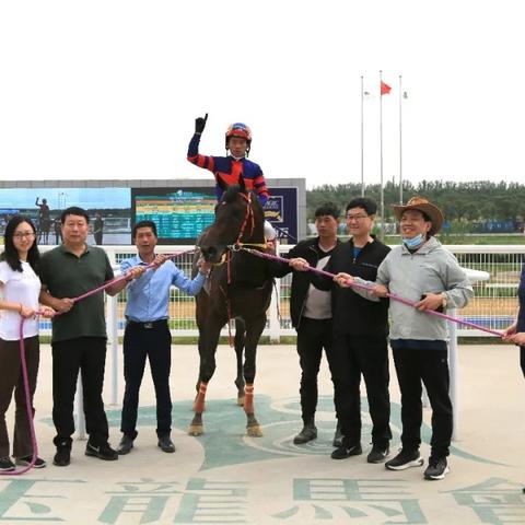 热门马匹游戏下载推荐，畅玩排行必看攻略