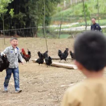 农场模拟游戏盘点：揭秘十大热门必玩之作，体验极致农趣！