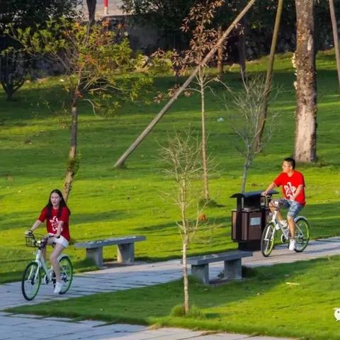 热门骑行游戏盘点：人气飙升，十大精选骑行游戏推荐！