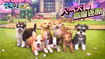 《元气小狗》首测时间揭秘：抢先体验萌宠冒险之旅