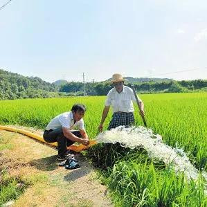 2024年度西部游戏盘点：揭秘最佳西部冒险巨作！