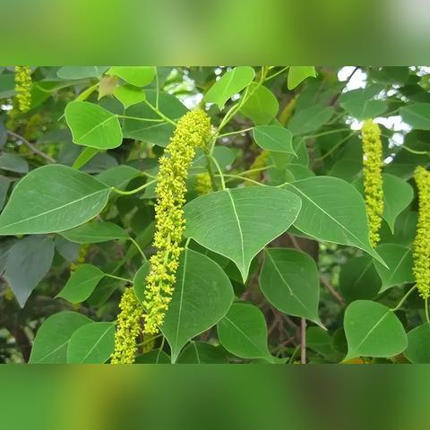 十大耐玩现代游戏盘点：揭秘热门游戏排行榜中的隐藏宝藏