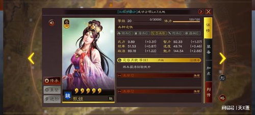 甄姬实战攻略：战法阵容搭配绝密技巧解析