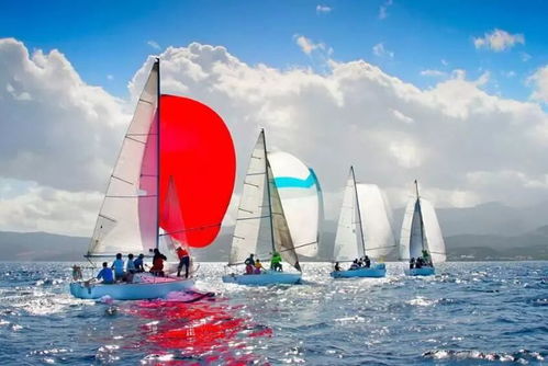 帆船游戏盘点：揭秘热门新锐之作，畅游海上风帆盛宴